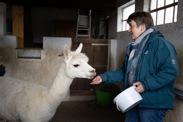 Annette Küpper mit Alpaka